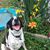 Judie Ricci's profile image
