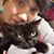 Melissa Conley's profile image