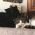 Jenny Spanier's profile image
