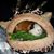 Jenn Wheatley's profile image