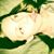 Tessa Kyla's profile image
