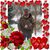 Paula J Warren's profile image