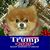 Sherry Vize's profile image