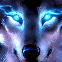 Meredith Hensley's profile image
