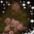 Hannah Ellis's profile image