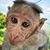 Johnny Warner's profile image