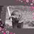 Lisa Moseley-Widell's profile image