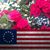 Tara Haynes Jiminez's profile image