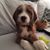 Sadie Lin's profile image