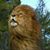 Lee Gregg's profile image