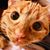 Carrie Calcote Reida's profile image
