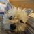 Doreen Biondo's profile image