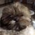 Susan Wilson's profile image