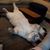 Debbie Wreede's profile image