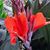 Ann Kellum's profile image