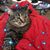 Louise Creason's profile image