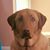 Danielle Raupp's profile image