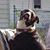 Chris Skaryd's profile image