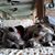 Anna Martinez's profile image