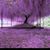 Mary Hazelet's profile image