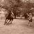 Pamela Braswell's profile image