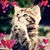 Wendy Barnes's profile image