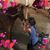 Linda Gemelli Elwart's profile image