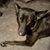 JoAnne McCauley's profile image