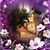 Diana DelGenio Harwood's profile image