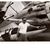 Tom Flanik's profile image