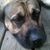 Suzan Margenau Kidney's profile image