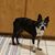 Kelly Smith's profile image
