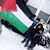 Nour Abu-Shahab's profile image