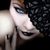 Anderson Lambert Cat's profile image