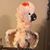 Bo Ross's profile image
