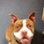 Suzi Stevenson Johnston's profile image