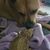 Michelle Diane Phillips's profile image