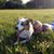 Holly Lynn's profile image