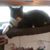Karen Hollowell's profile image