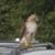 Larry Scott's profile image