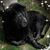 Barbra Gant Weatherspoon's profile image