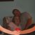 Scott LeHane's profile image