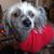 Kathy Elliott Maynard's profile image
