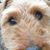 David C Tvrdy's profile image