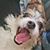 Lauren Hollier's profile image