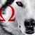 Mike E-Guthrie's profile image