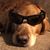 Allan Clawson's profile image