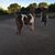 Julie Auxier Martinez's profile image