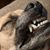 Jake Boettcher's profile image
