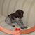 Luz Maria Bossanyi's profile image
